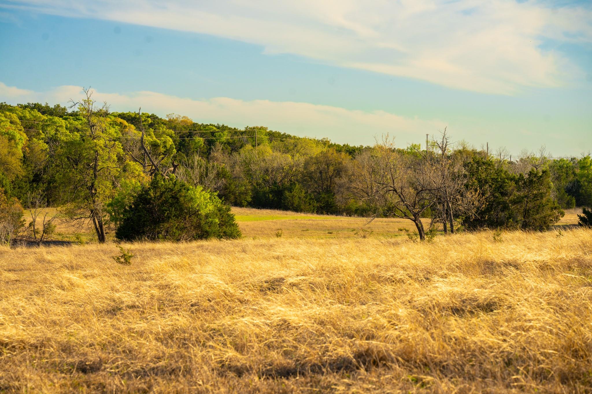 6234 S Fm 1174 Bertram TX 78605