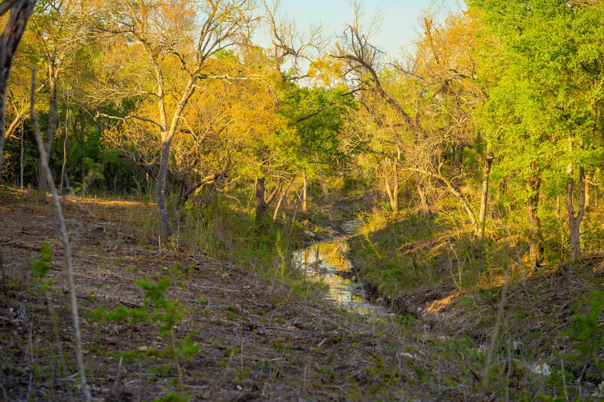 6234 S Fm 1174 Bertram TX 78605