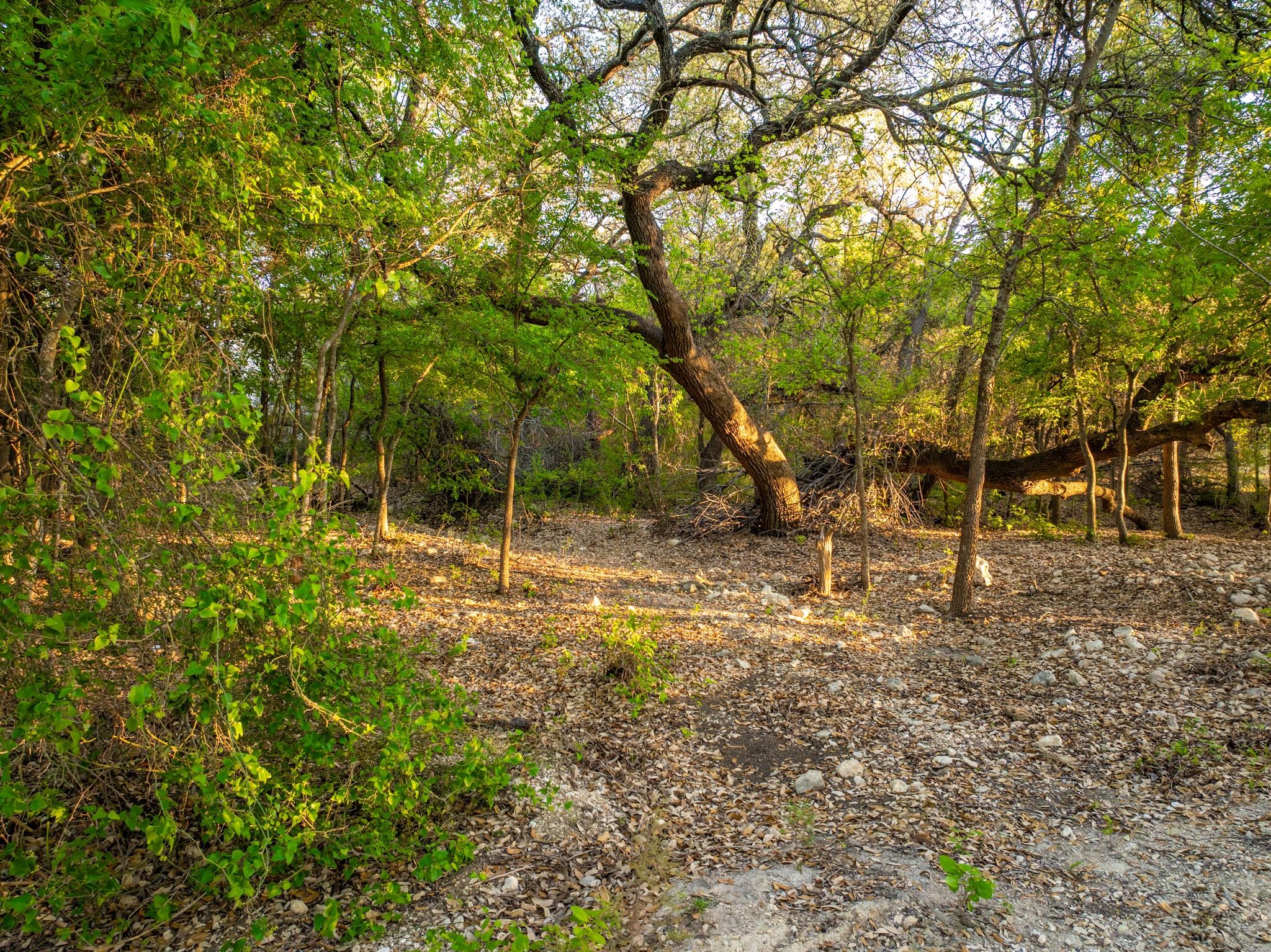 6234 S Fm 1174 Bertram TX 78605