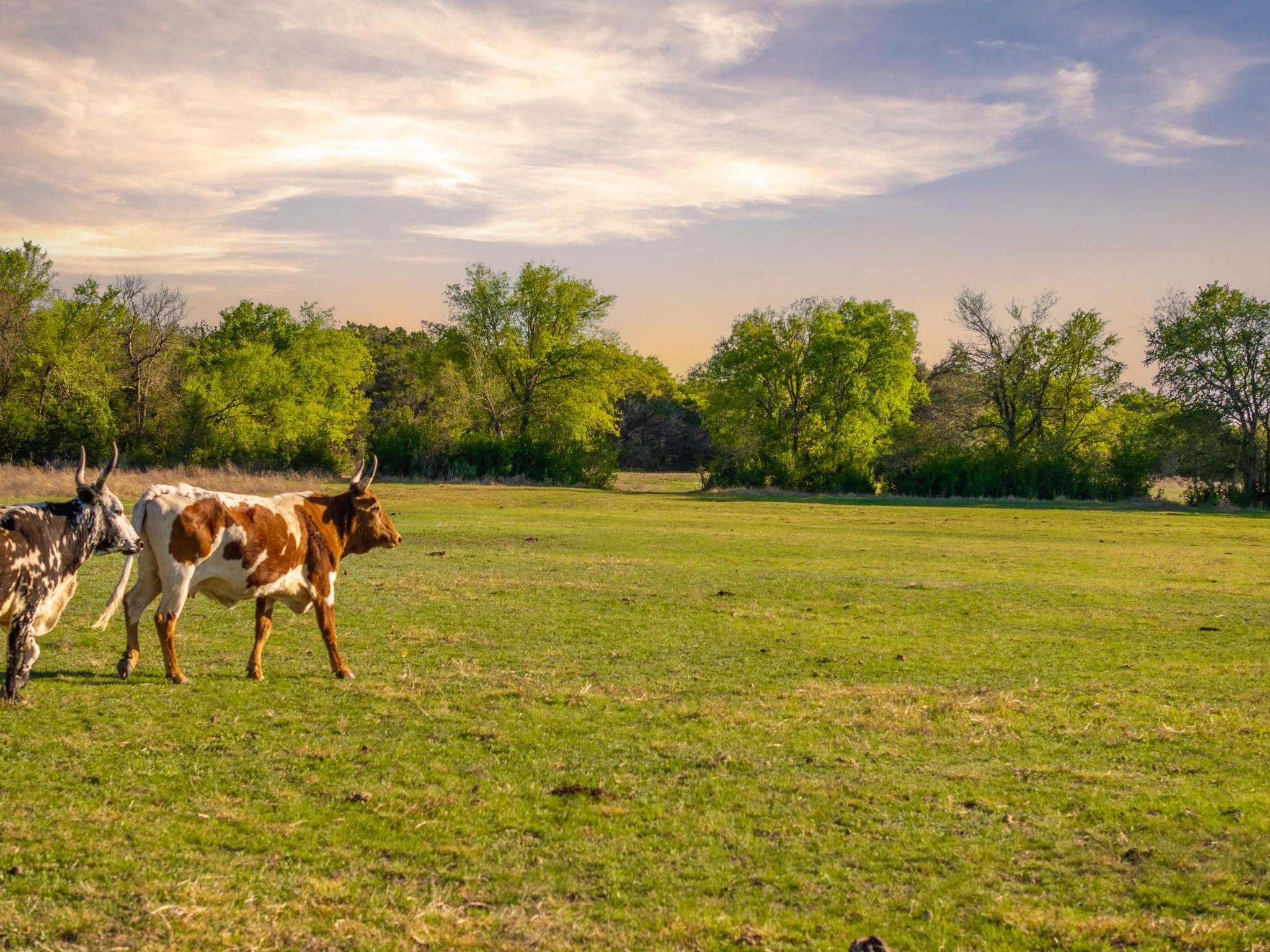 6234 S Fm 1174 Bertram TX 78605