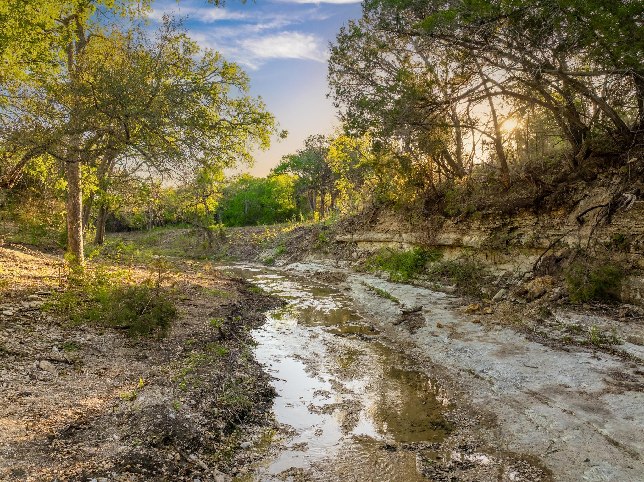6234 S Fm 1174 Bertram TX 78605