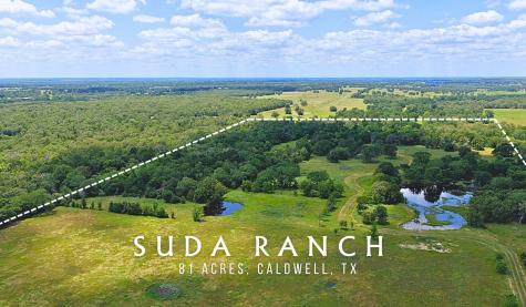 5380 County Road 132 (81.02 Acres) Somerville TX 77879