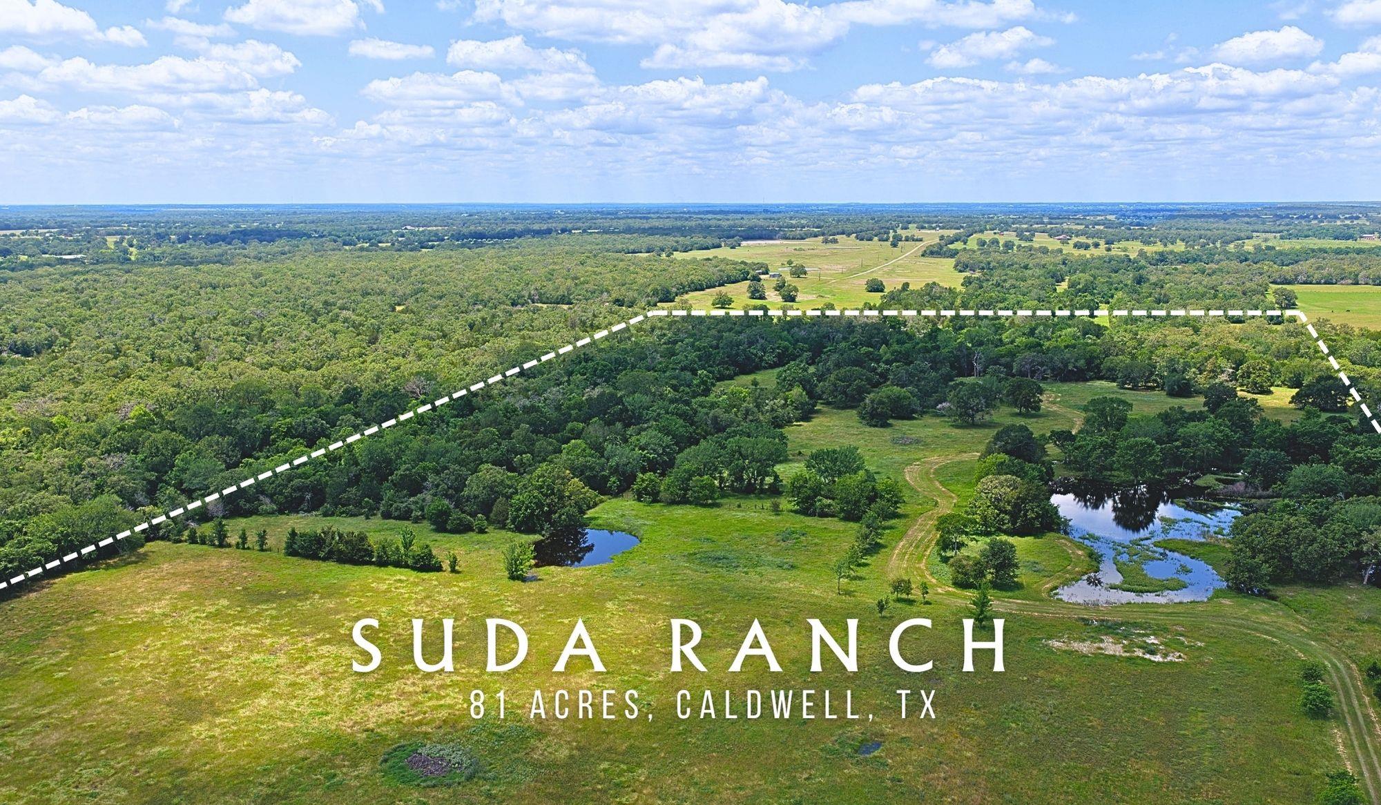 5380 County Road 132 (81.02 Acres) Somerville TX 77879