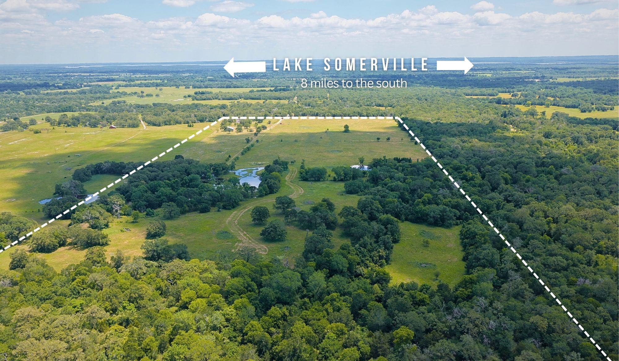 5380 County Road 132 (81.02 Acres) Somerville TX 77879