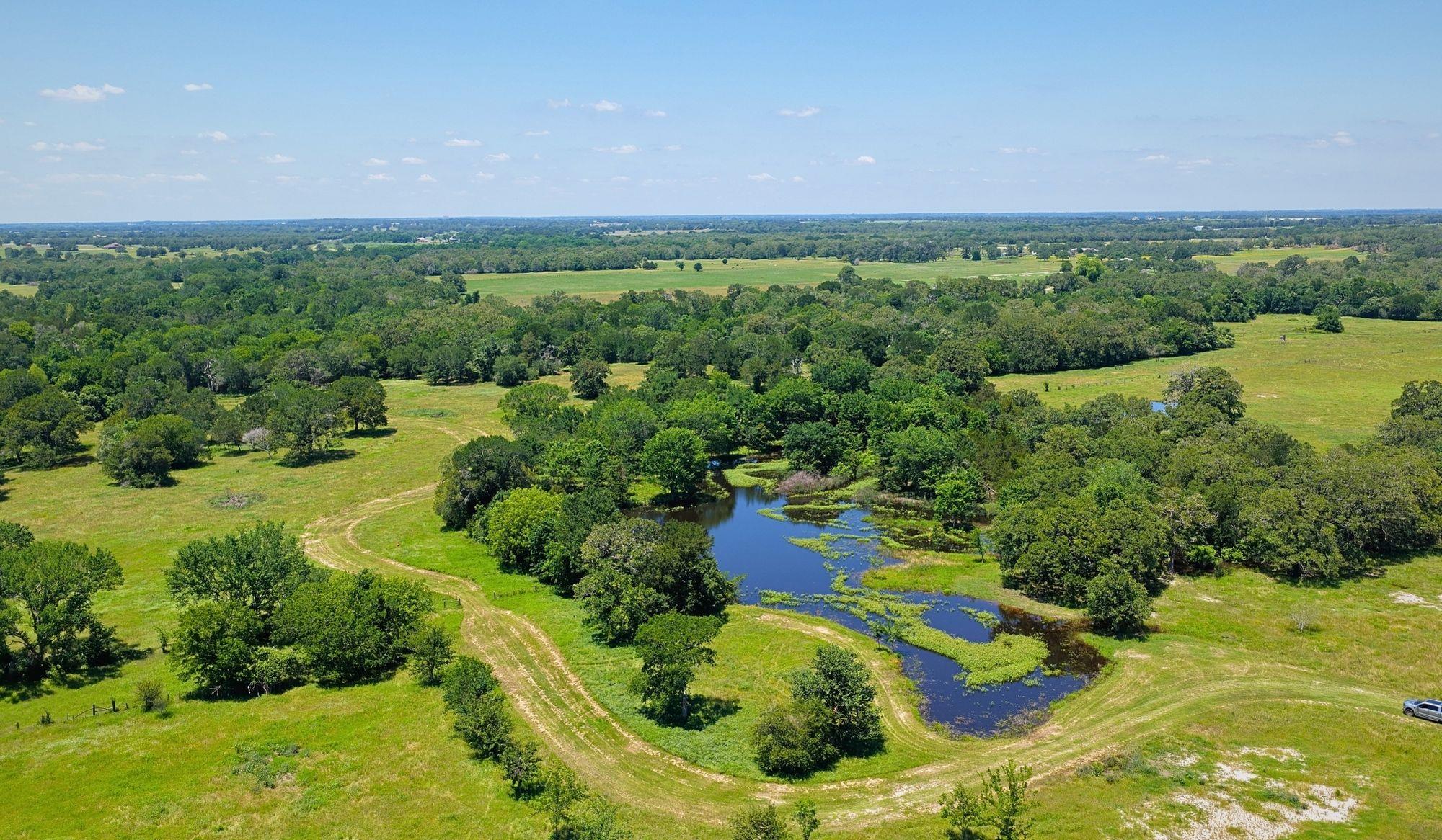 5380 County Road 132 (81.02 Acres) Somerville TX 77879