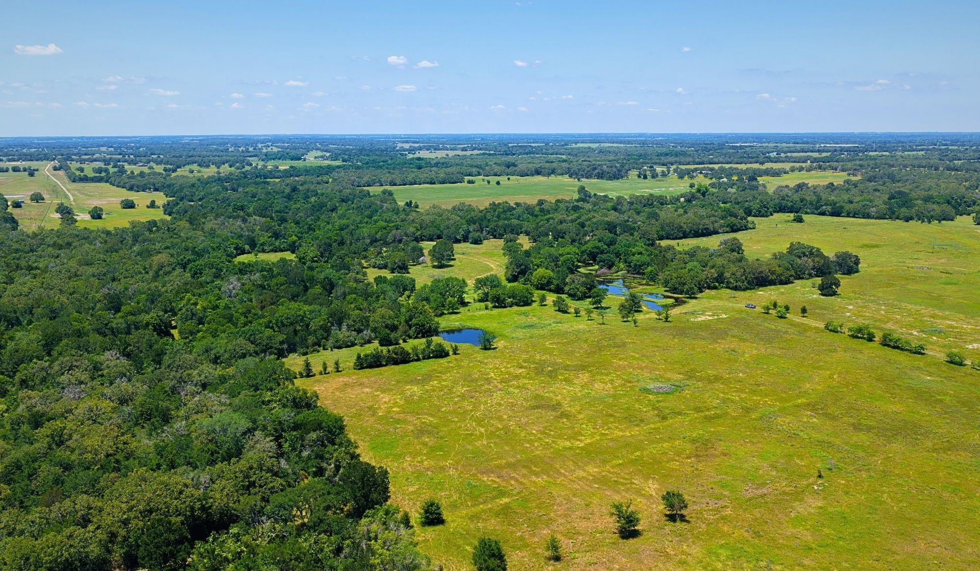 5380 County Road 132 (81.02 Acres) Somerville TX 77879