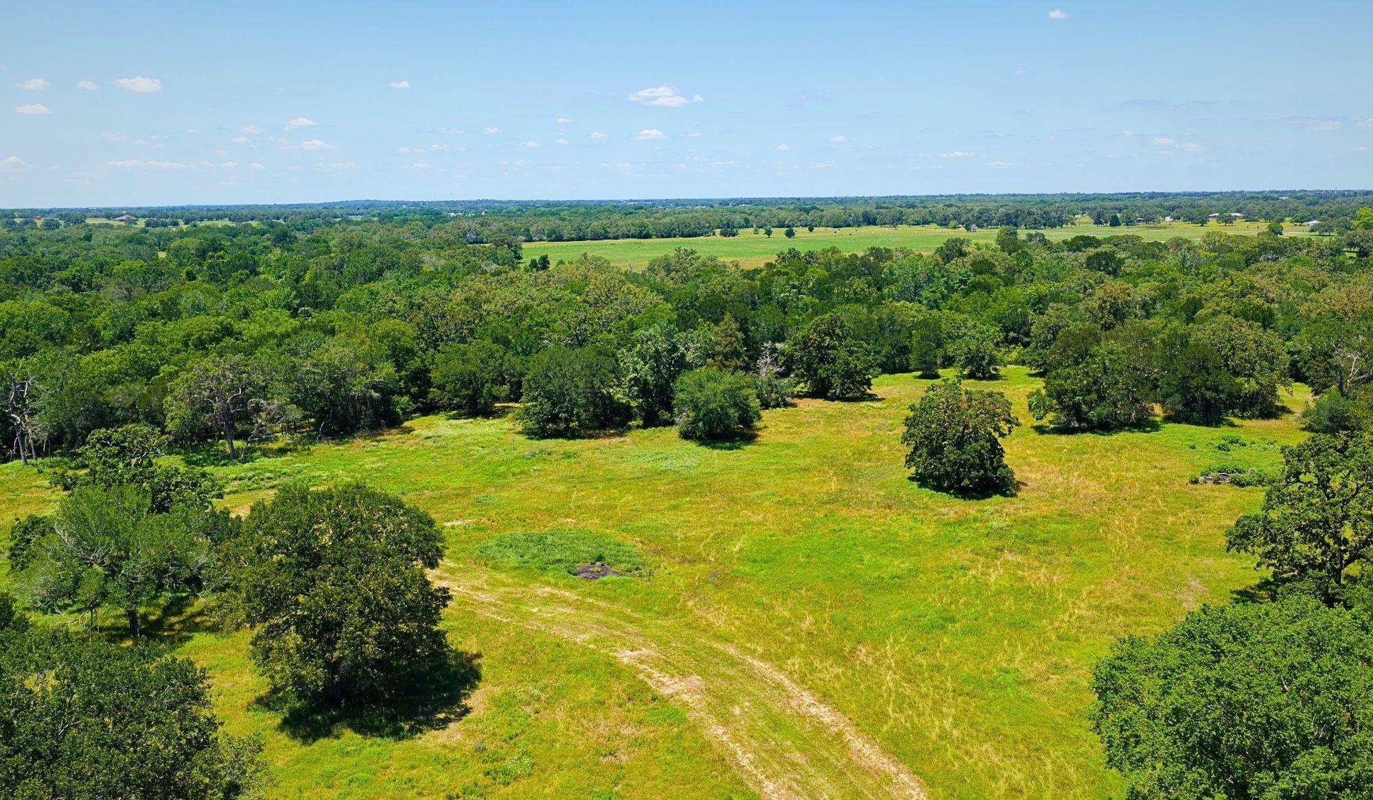 5380 County Road 132 (81.02 Acres) Somerville TX 77879