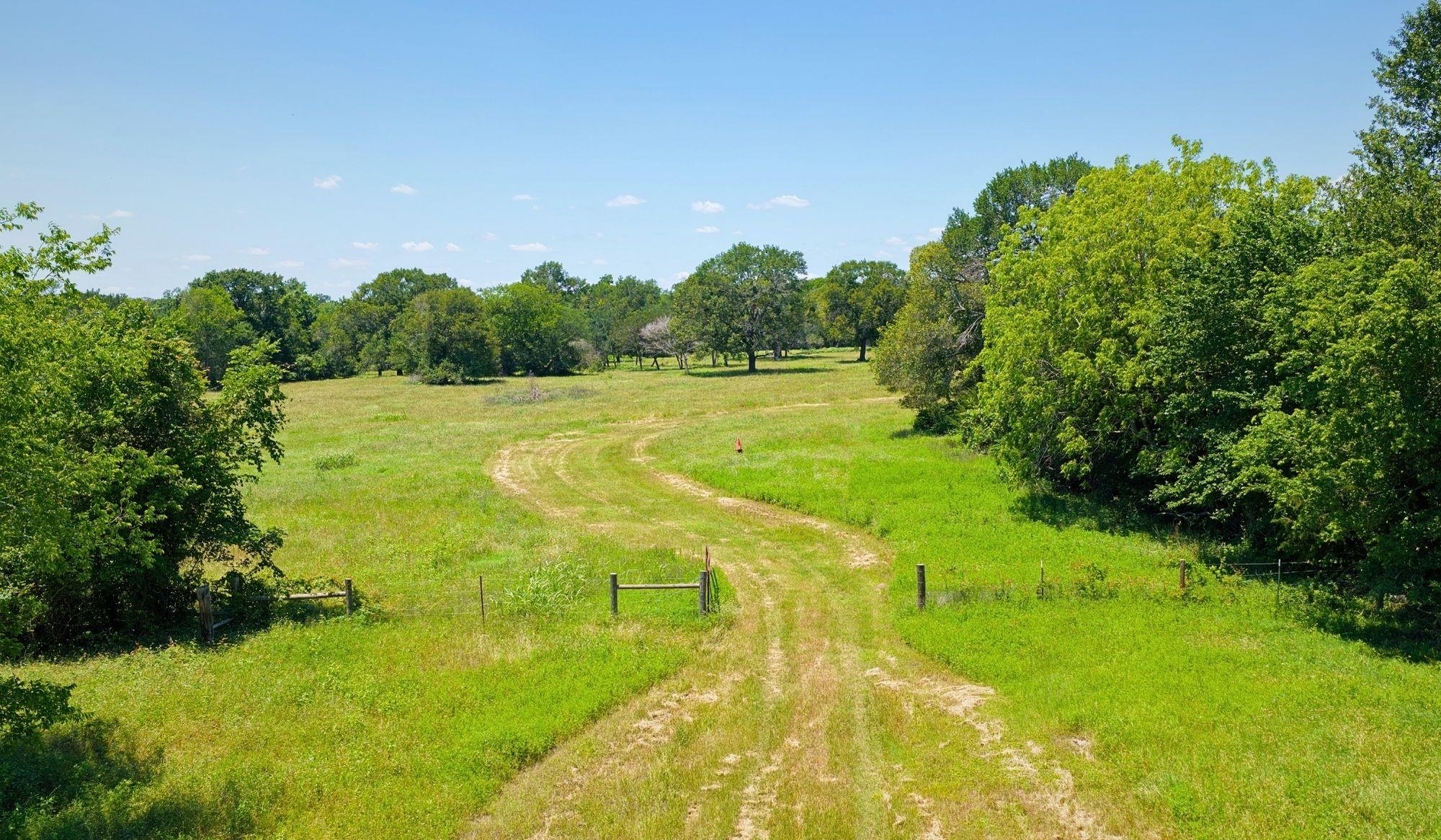 5380 County Road 132 (81.02 Acres) Somerville TX 77879