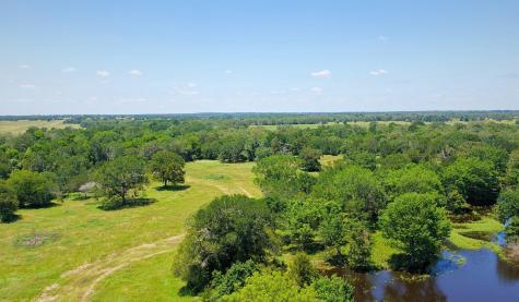 5380 County Road 132 (81.02 Acres) Somerville TX 77879