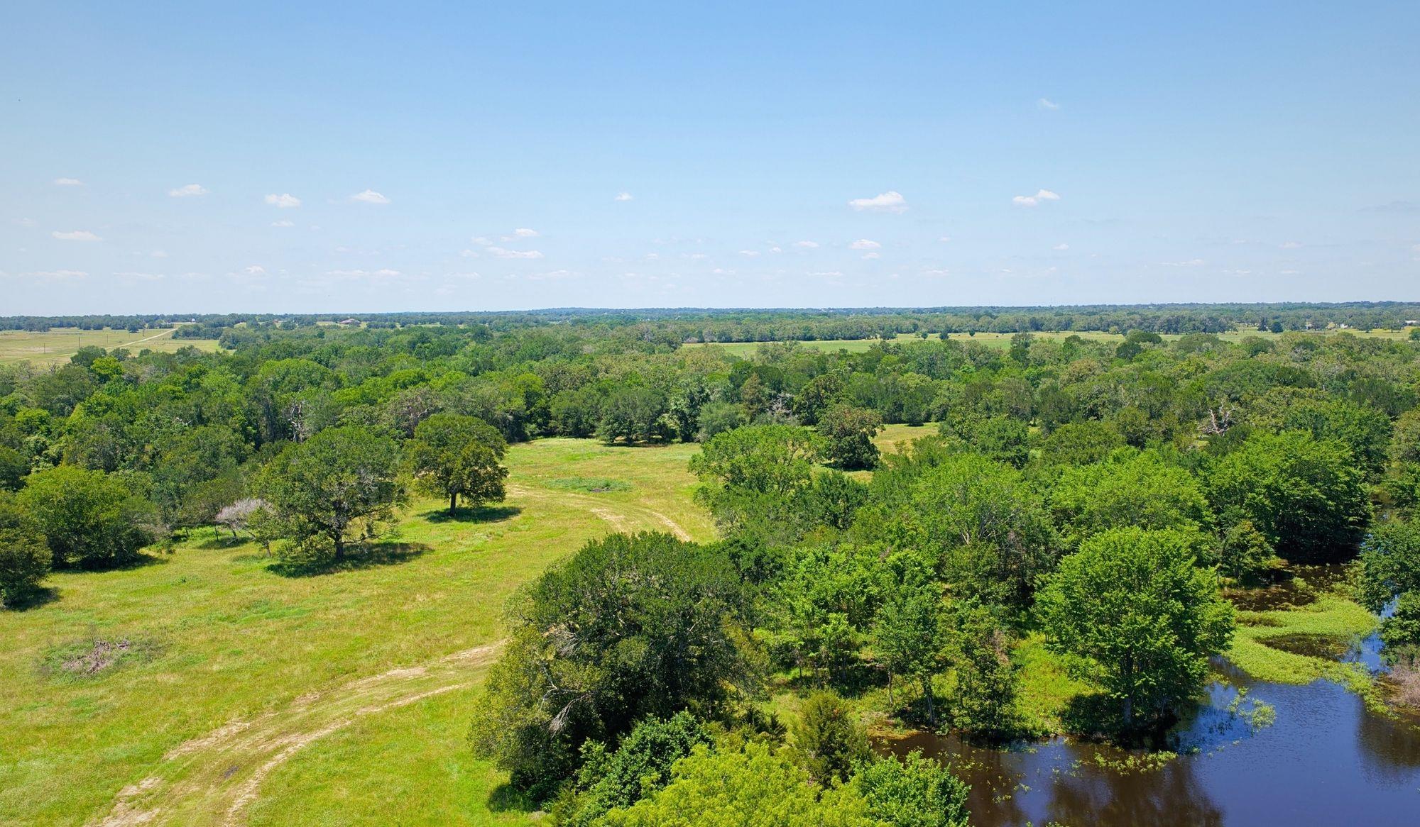 5380 County Road 132 (81.02 Acres) Somerville TX 77879