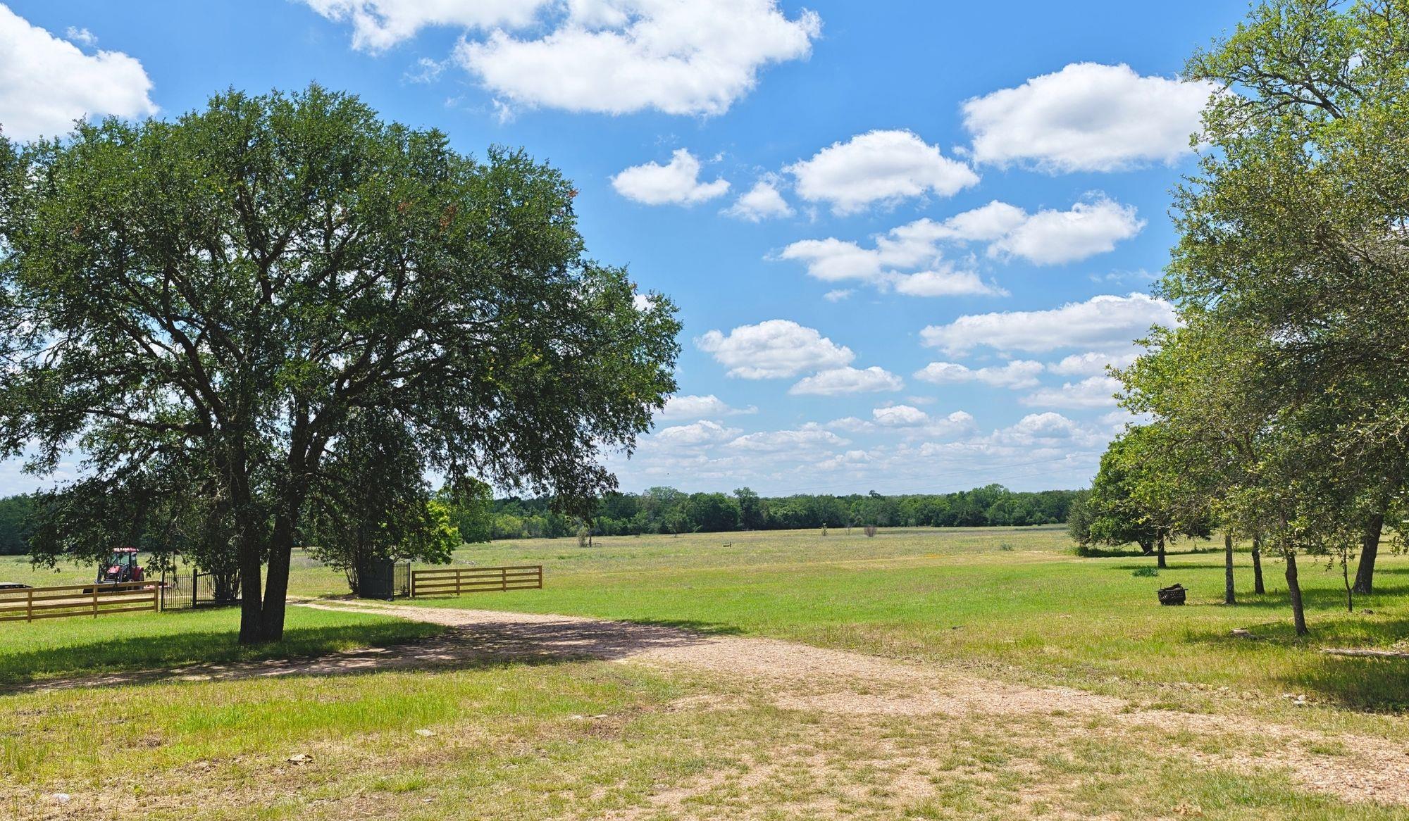 5380 County Road 132 (81.02 Acres) Somerville TX 77879