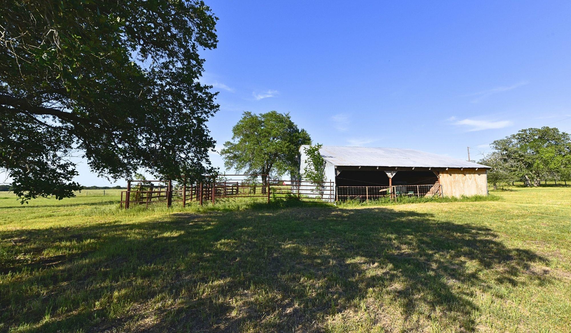 5380 County Road 132 (81.02 Acres) Somerville TX 77879