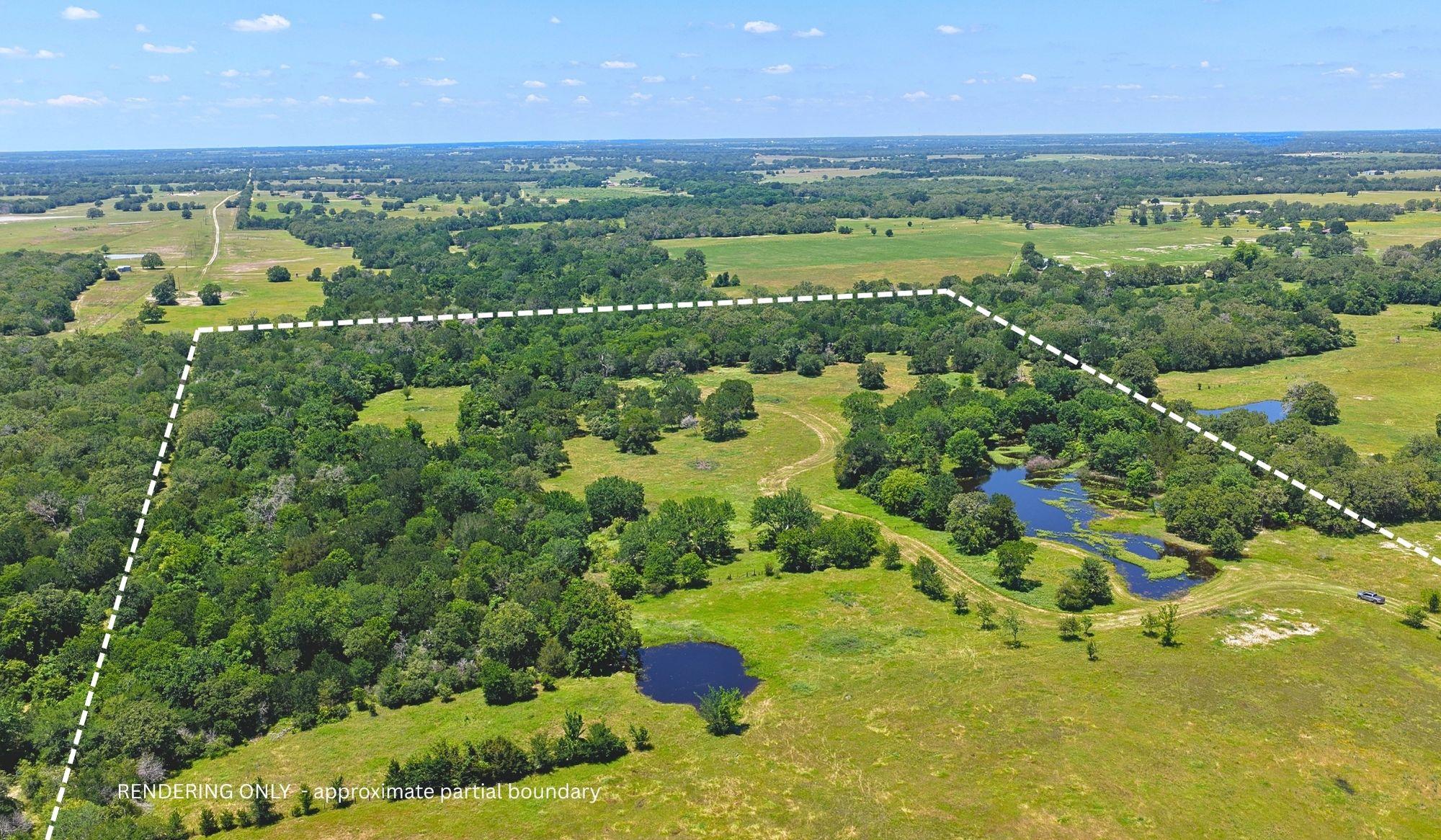5380 County Road 132 (81.02 Acres) Somerville TX 77879