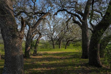 Tbd County Road 404 Floresville TX 78114