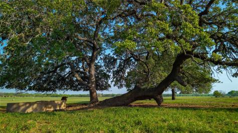 Tbd County Road 404 Floresville TX 78114