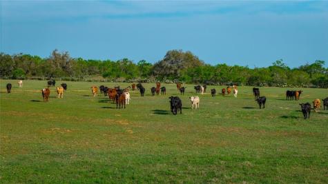 Tbd County Road 404 Floresville TX 78114