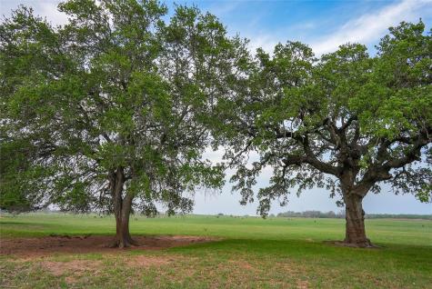 Tbd County Road 404 Floresville TX 78114