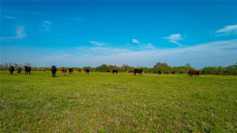 Tbd County Road 404 Floresville TX 78114