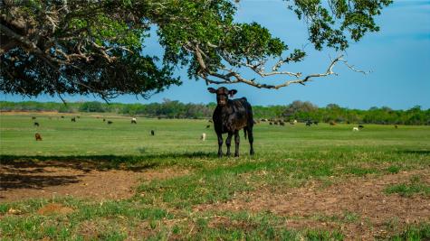 Tbd County Road 404 Floresville TX 78114