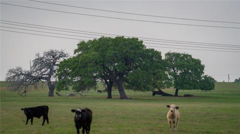 Tbd County Road 404 Floresville TX 78114