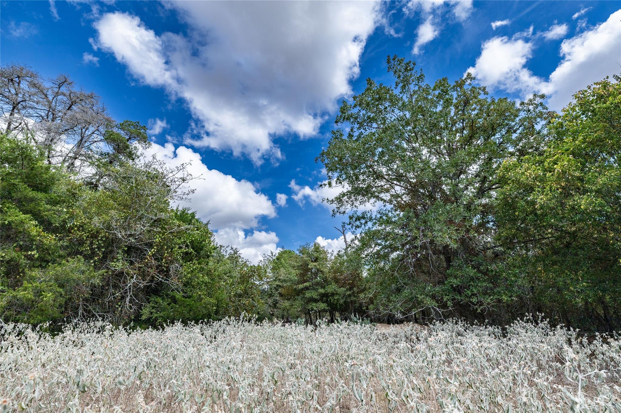 1350 Cattlemens Row Lockhart TX 78644