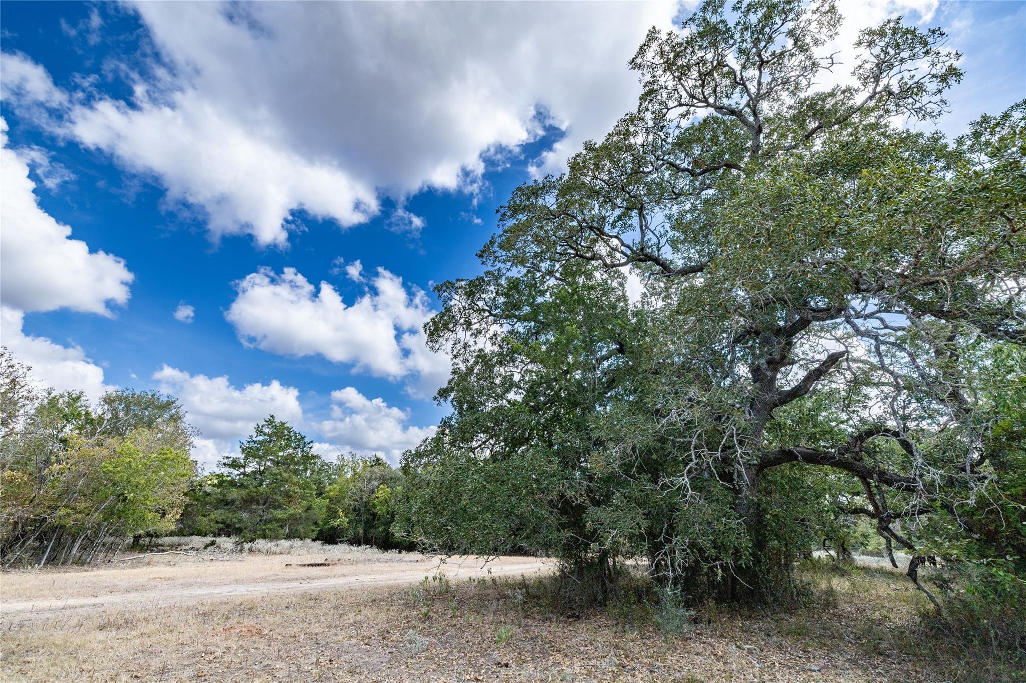 1350 Cattlemens Row Lockhart TX 78644