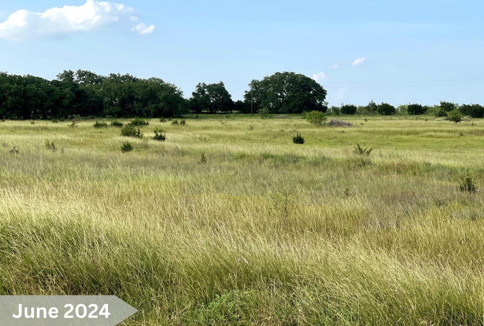 730 E Us Highway 84 Goldthwaite TX 76844