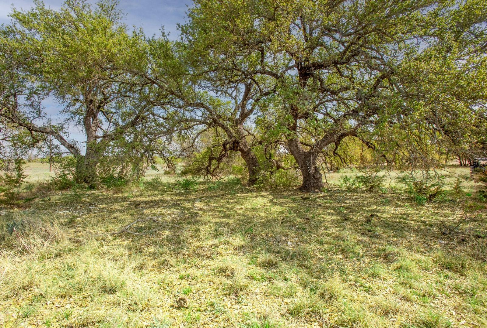 730 E Us Highway 84 Goldthwaite TX 76844