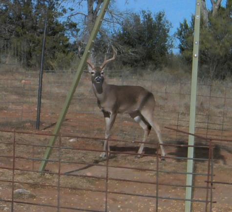 Tbd Madden Ranch Road Llano TX 78643