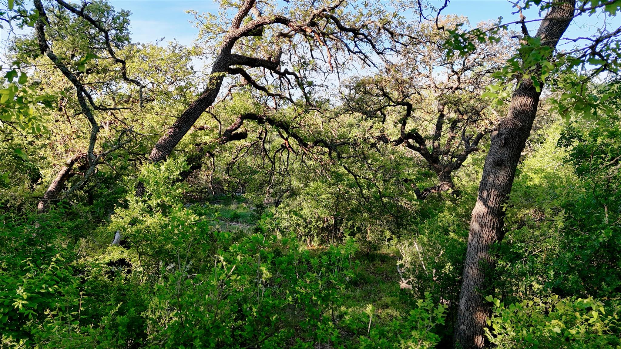 Tbd Madden Ranch Road Llano TX 78643
