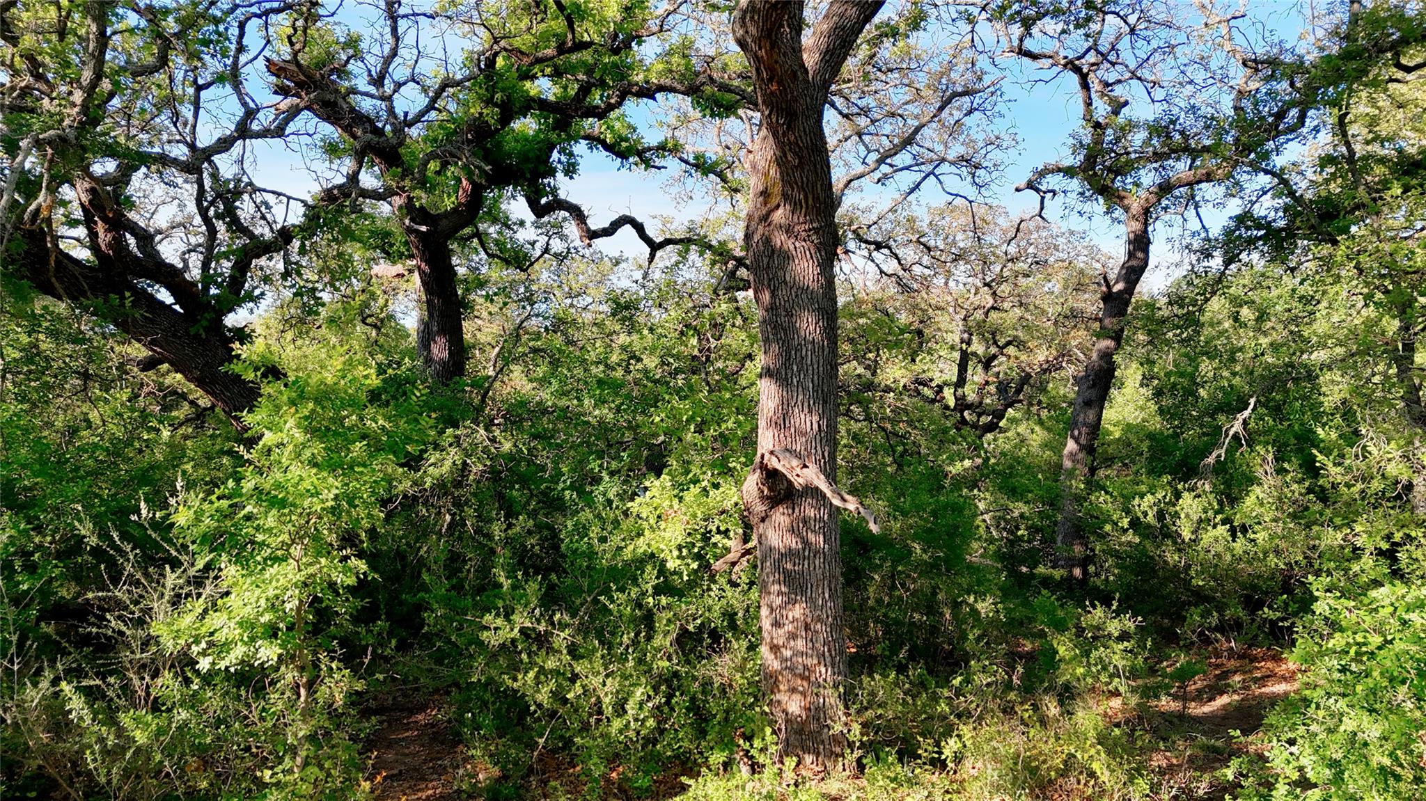 Tbd Madden Ranch Road Llano TX 78643