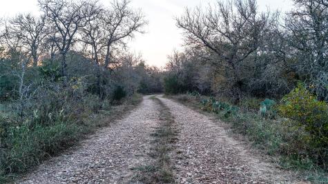 137 Shady Oaks Loop Cedar Creek TX 78612