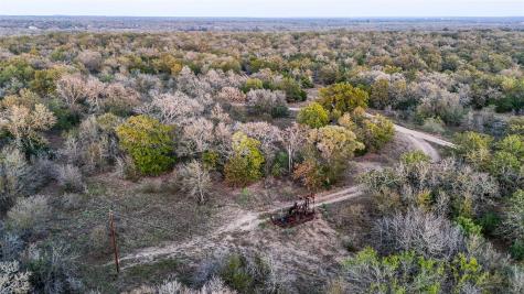 137 Shady Oaks Loop Cedar Creek TX 78612
