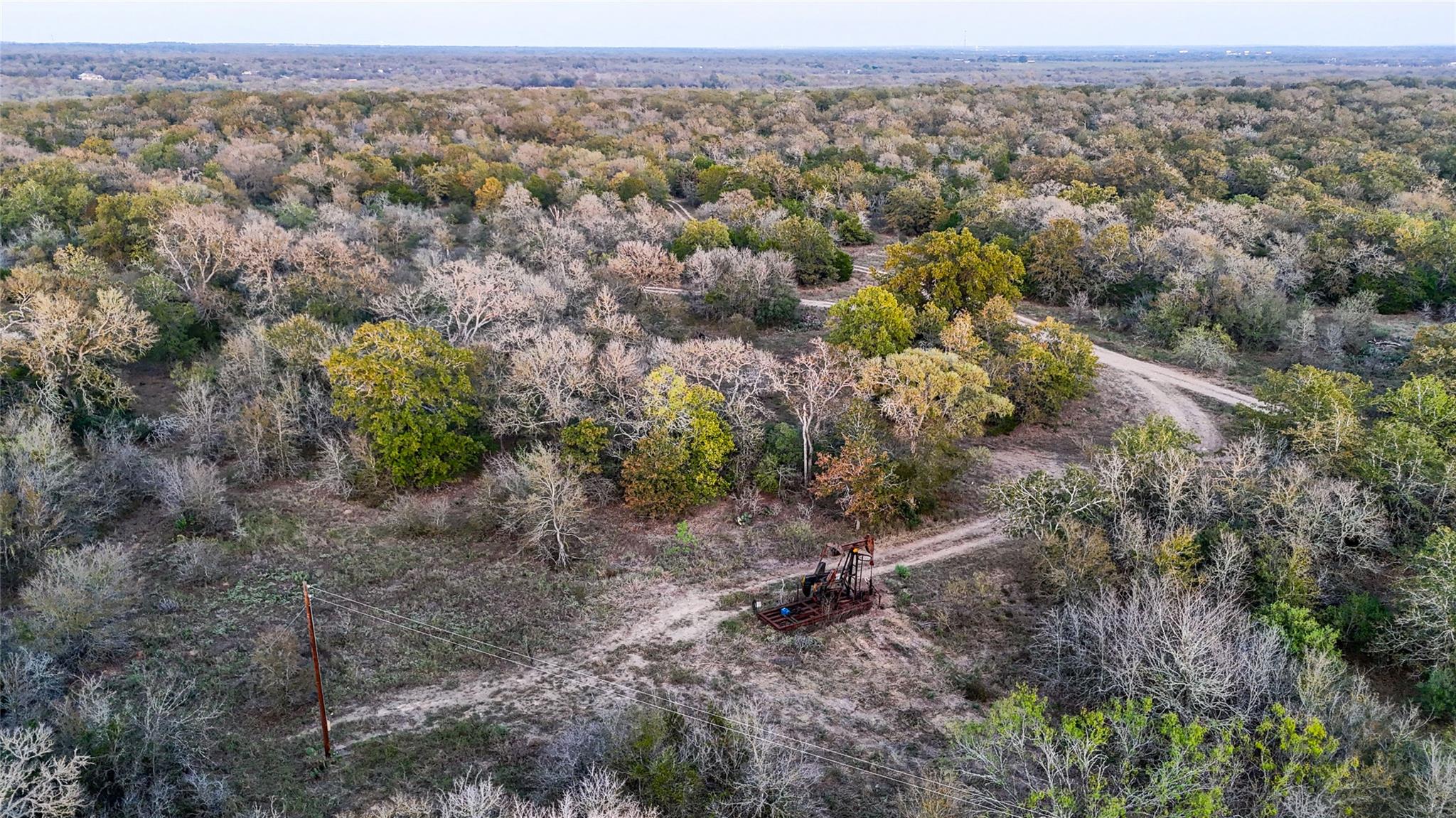 137 Shady Oaks Loop Cedar Creek TX 78612