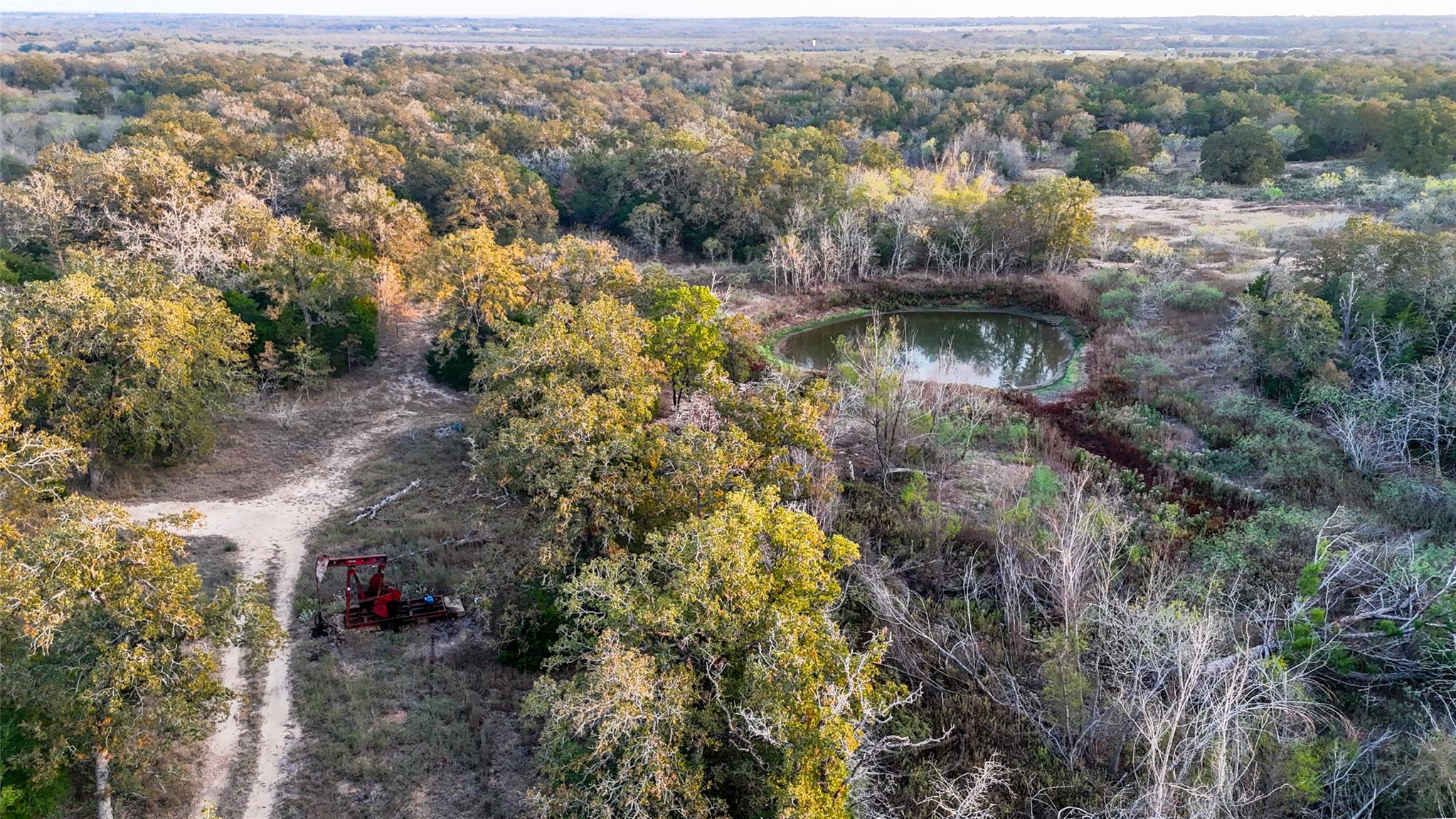 137 Shady Oaks Loop Cedar Creek TX 78612