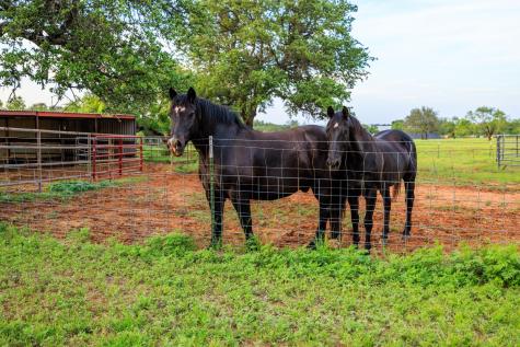3724 Ranch Road 3347 Round Mountain TX 78663