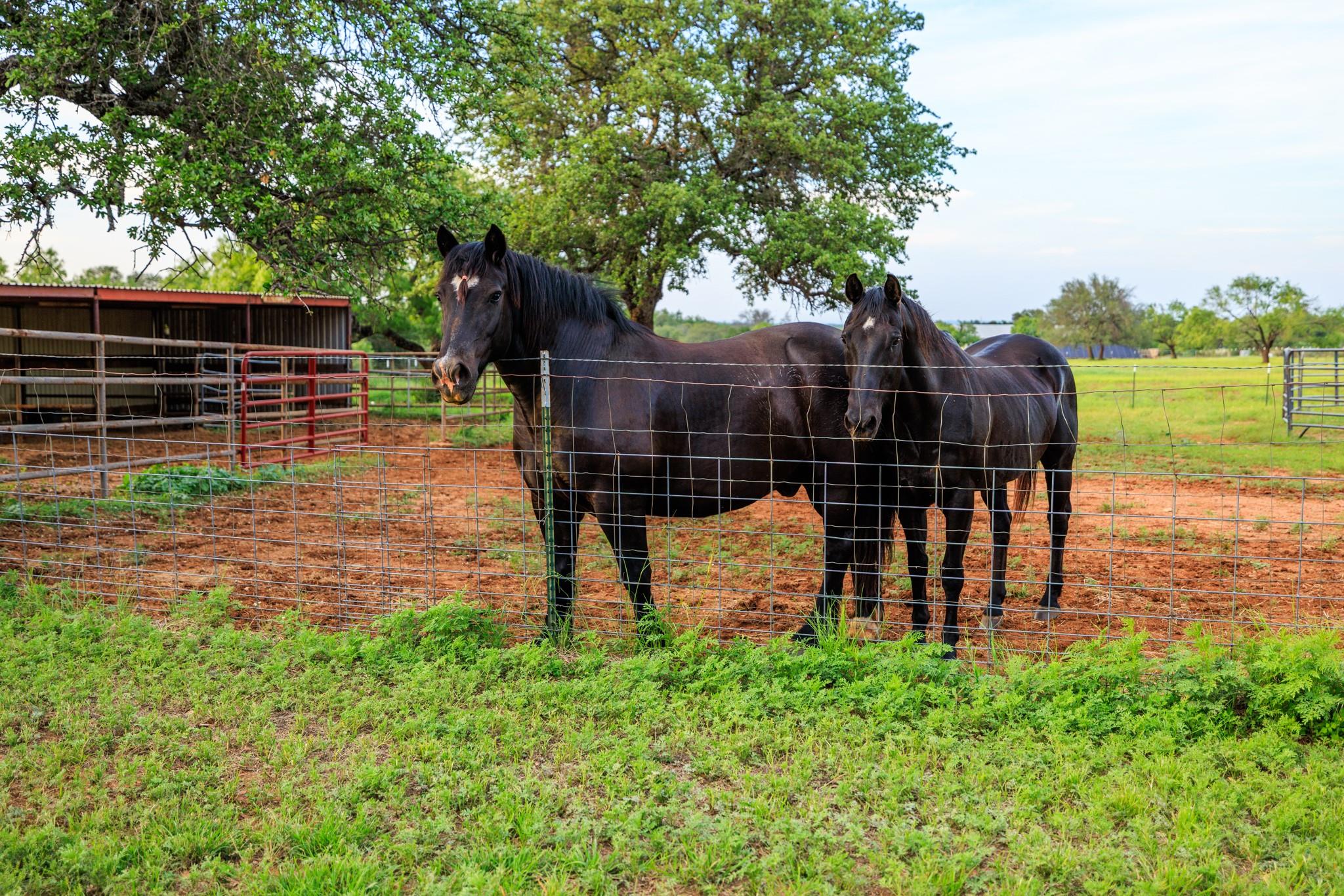 3724 Ranch Road 3347 Round Mountain TX 78663