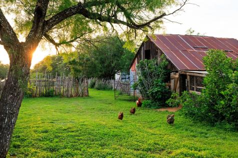 3724 Ranch Road 3347 Round Mountain TX 78663