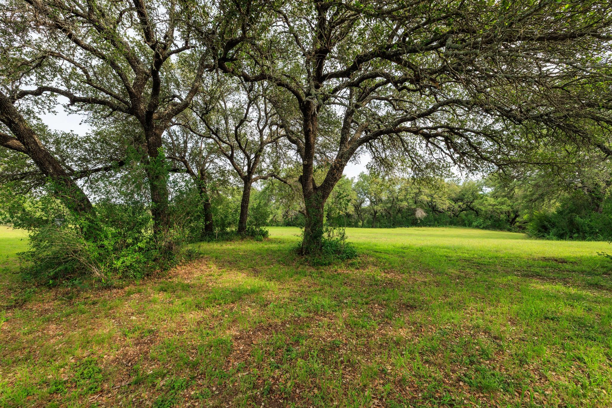 3724 Ranch Road 3347 Round Mountain TX 78663