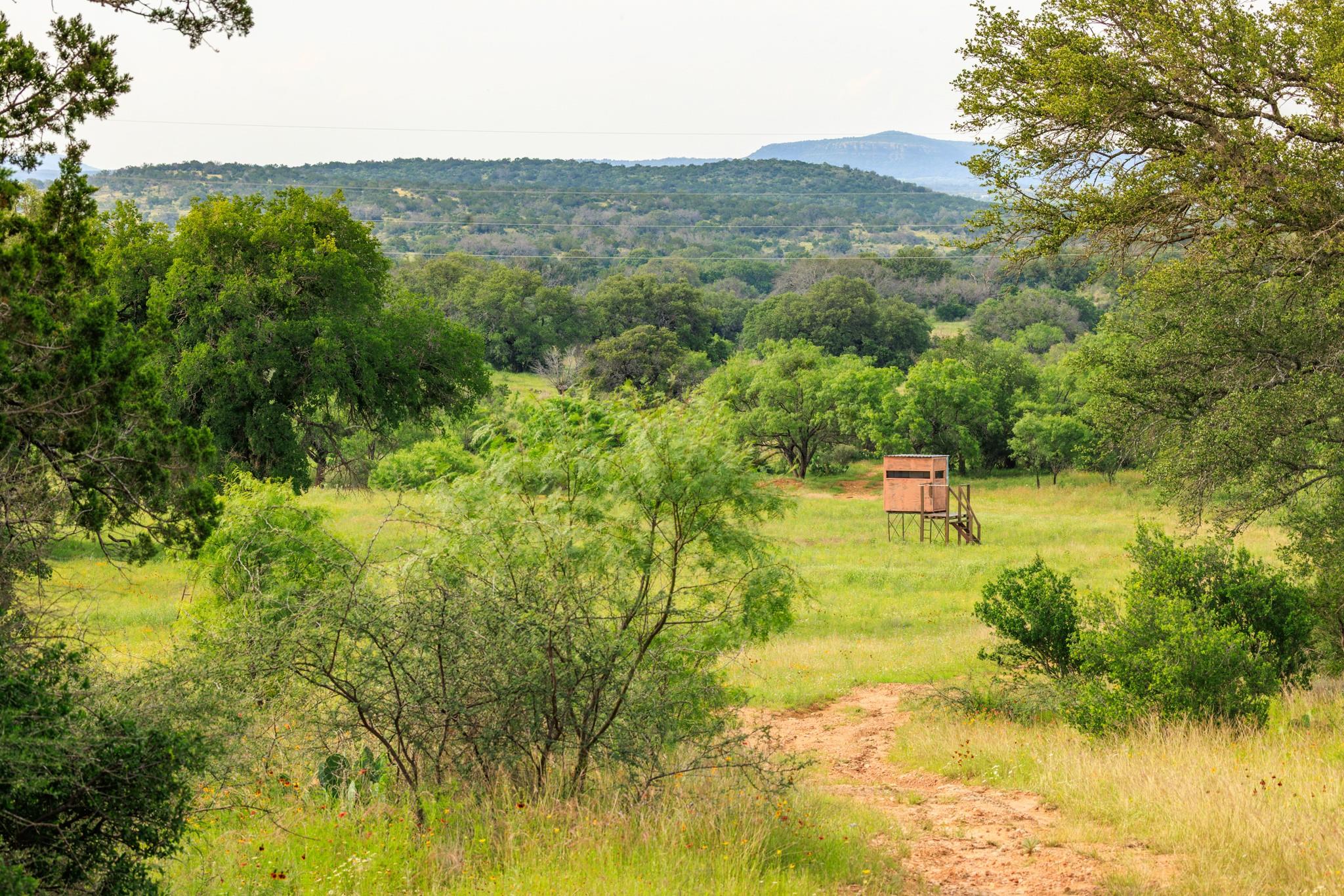 3724 Ranch Road 3347 Round Mountain TX 78663