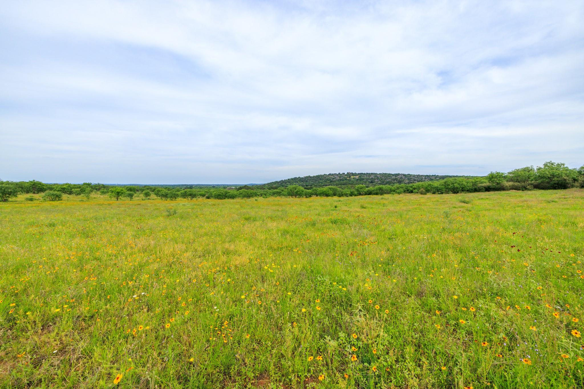 3724 Ranch Road 3347 Round Mountain TX 78663
