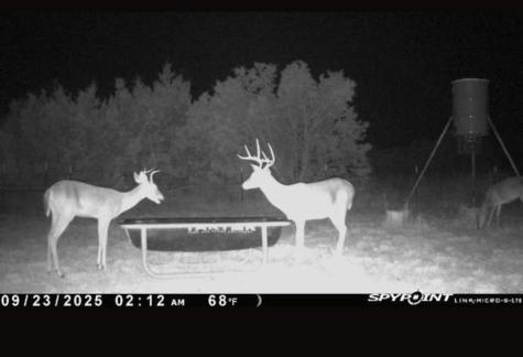 542 Co Road 2275 Lampasas TX 76550