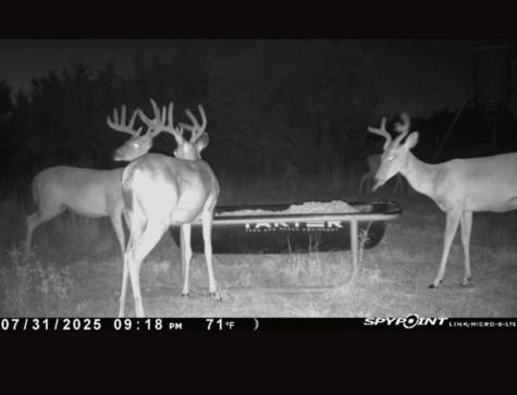542 Co Road 2275 Lampasas TX 76550
