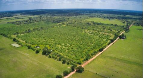 509 Sandy Lane Road Mason TX 76856