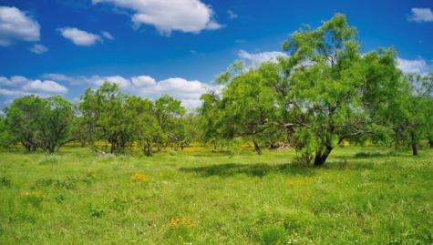 509 Sandy Lane Road Mason TX 76856