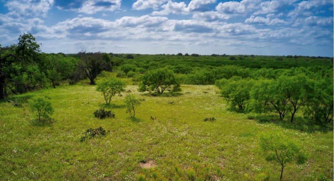 509 Sandy Lane Road Mason TX 76856