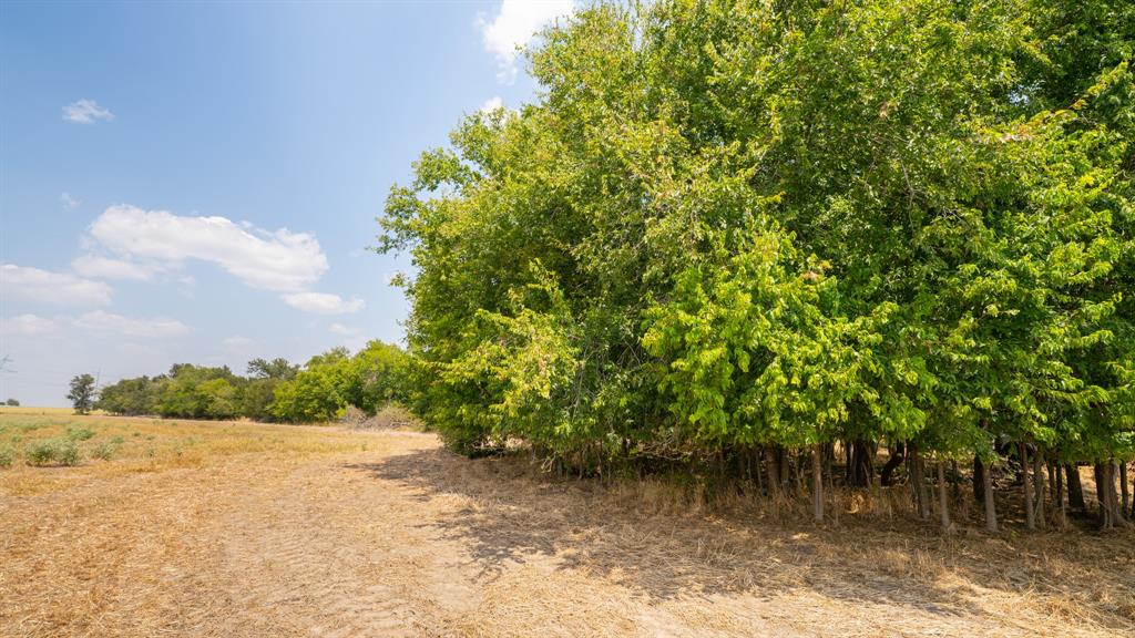 5647 Creek 429 Thorndale TX 76577