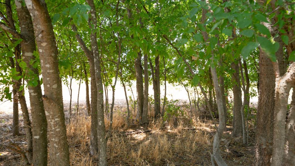 5647 Creek 429 Thorndale TX 76577