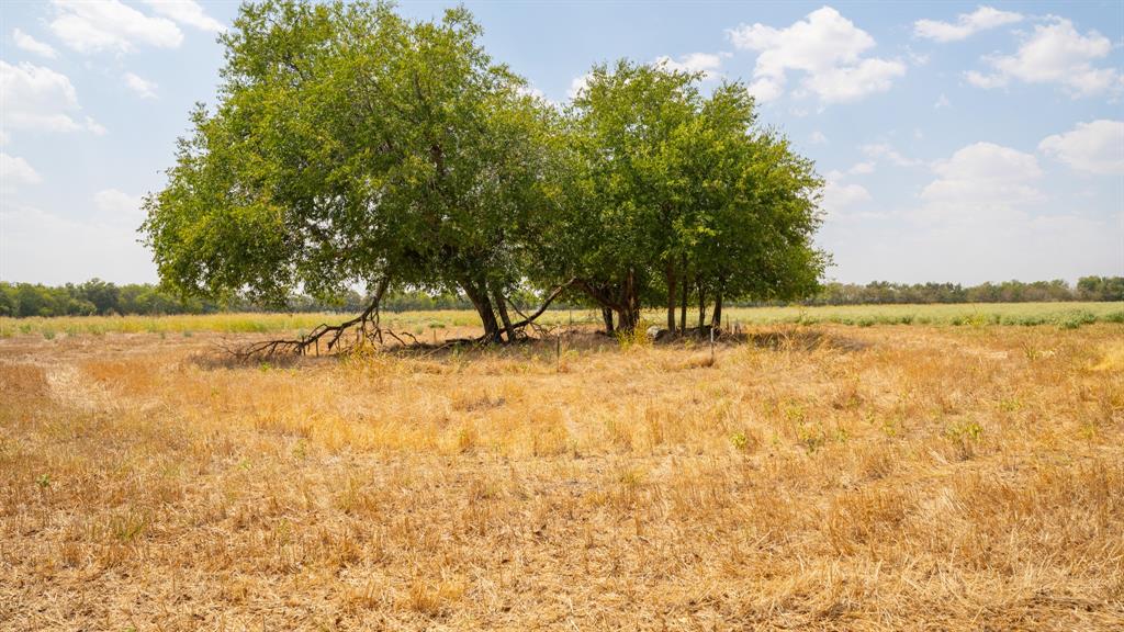 5647 Creek 429 Thorndale TX 76577