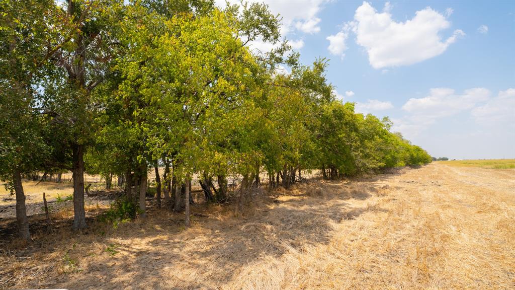 5647 Creek 429 Thorndale TX 76577